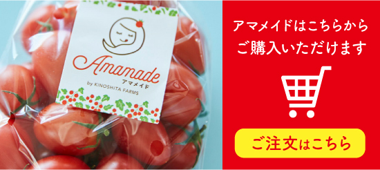 アマメイドはこちらからご購入いただけます